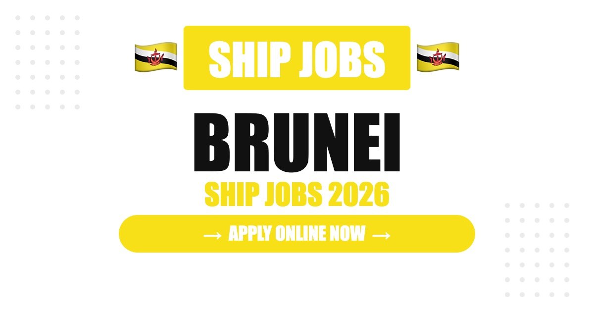 Ship Jobs in China 2026 – Seafarer & Cruise Ship Careers | Salary & How to Apply