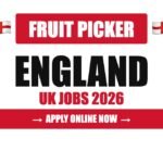 Fruit Picker & Packer Jobs in England, UK 2026 – Visa Sponsorship, Salary & Apply
