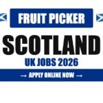 Fruit Picker & Packer Jobs in Scotland, UK 2026 – Visa Sponsorship, Salary & Apply